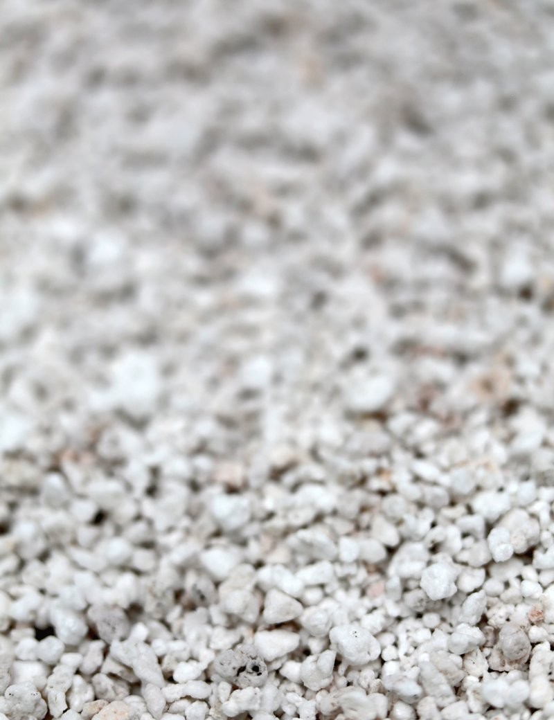 Perlite - matériel pour plantes carnivores, orchidée, terrarium