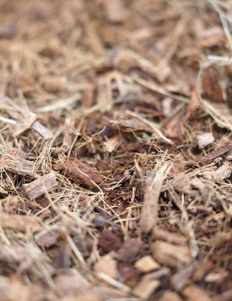 Fibre et mulch de coco