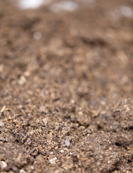 Terreau horticole