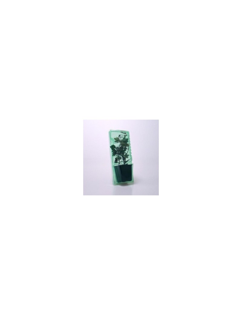 Blíster 7x7x8 - Lote de 10