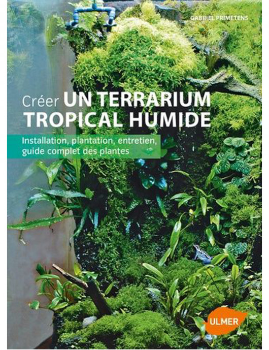 Créer Un Terrarium Tropical Humide