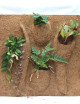 Plaque coco 50X50X1cm à planter | Terrarium