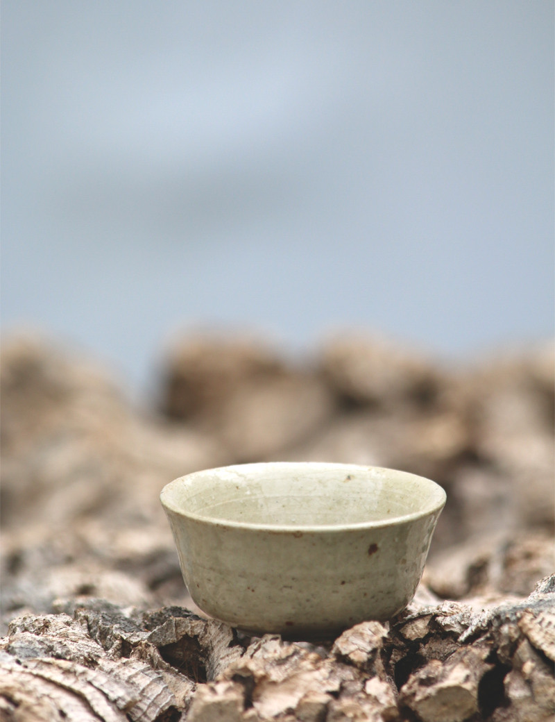 Maceta de terracota esmaltada "Tectorum"
