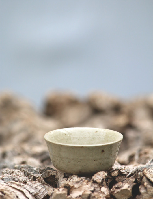 Maceta de terracota esmaltada "Tectorum"