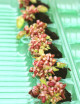 Cephalotus follicularis - Mini-montañas X6