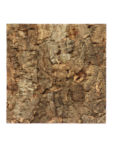 Cork oak plate - 30X30