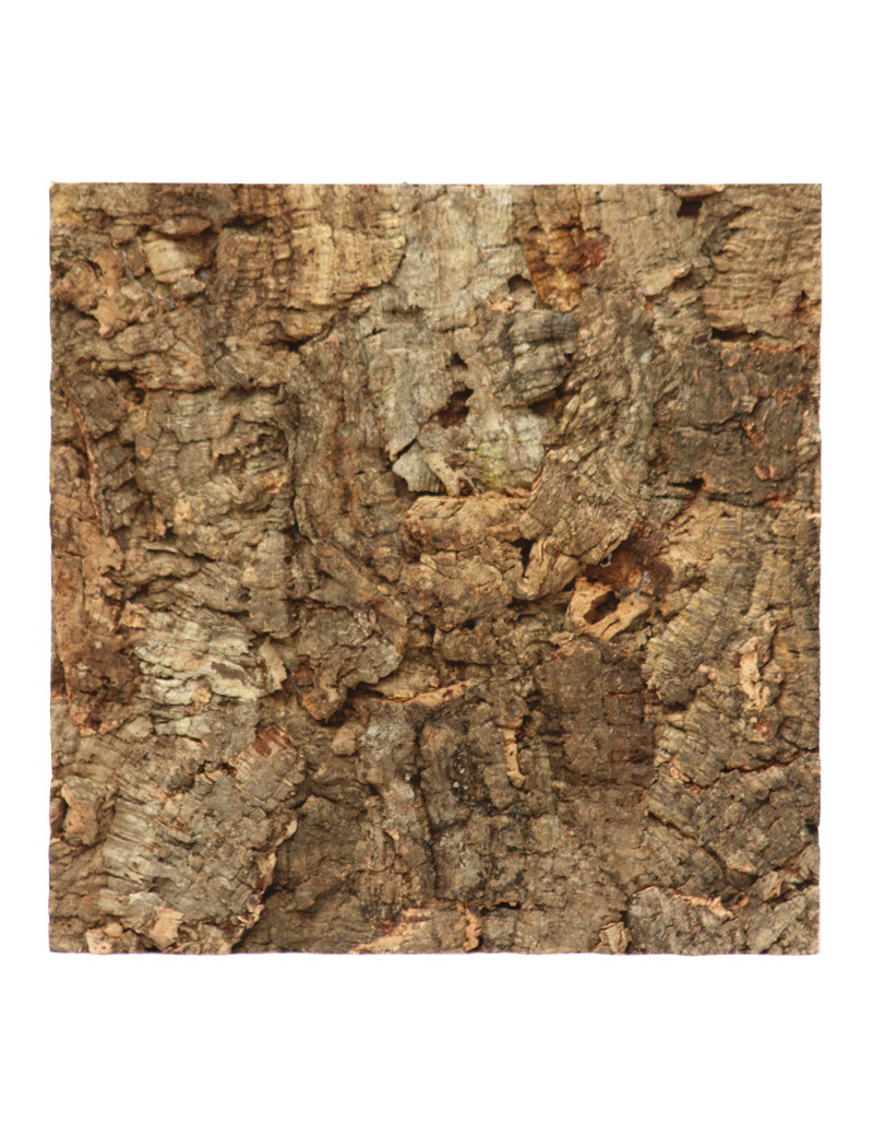 Cork oak plate - 30X30