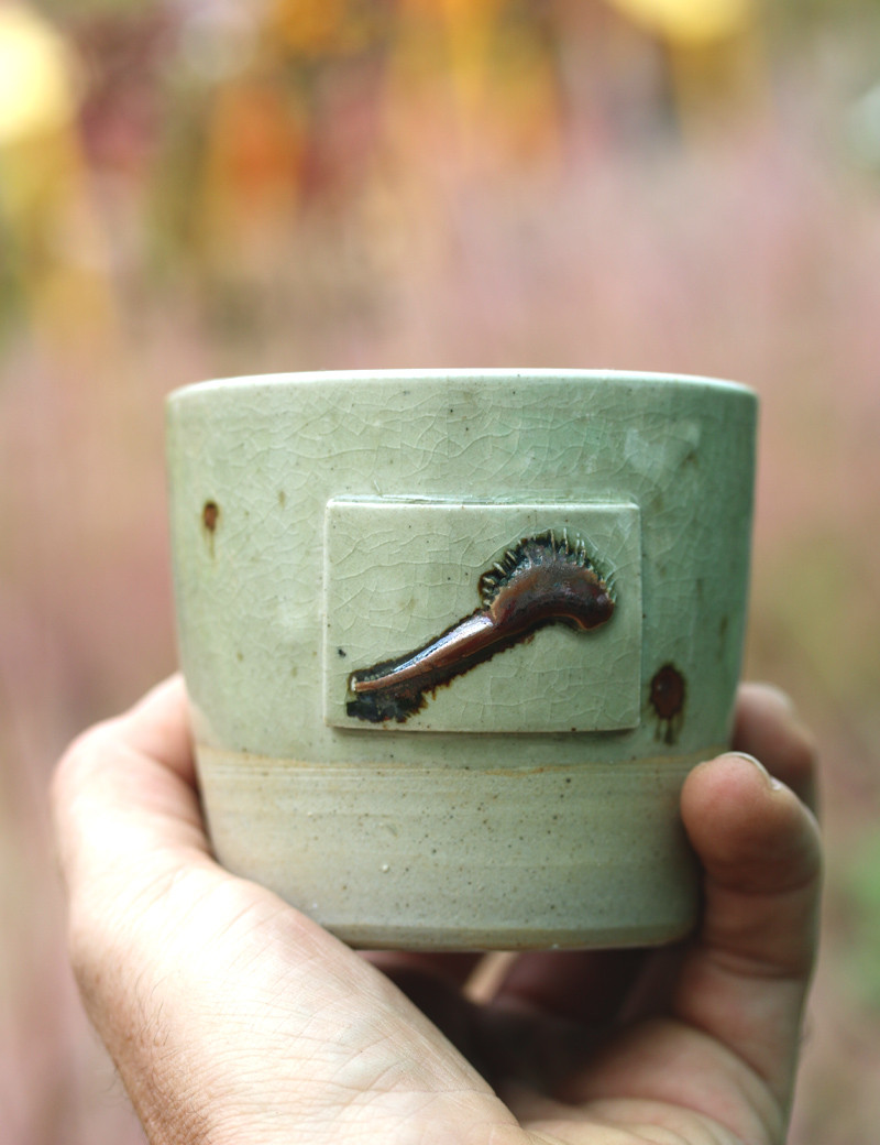 Taza "Karnivores"