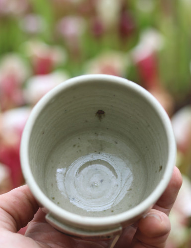 Taza "Karnivores"