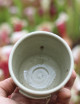 Taza "Karnivores"