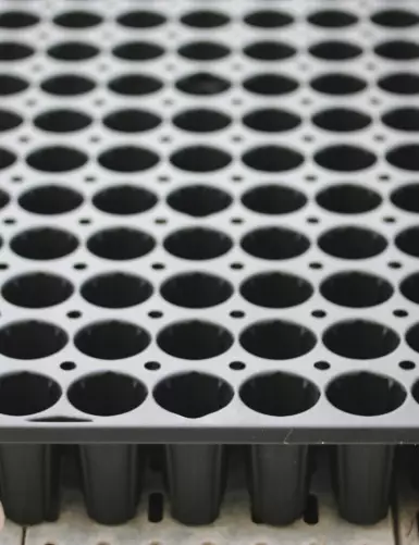 Plaque de culture 108 godets – Idéale pour semis et bouturage