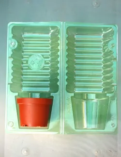 Coque d'expédition plante...