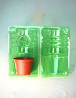 Lot coque d'expédition...
