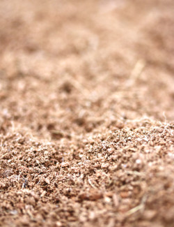 Poudre de coco naturelle - substrat drainant