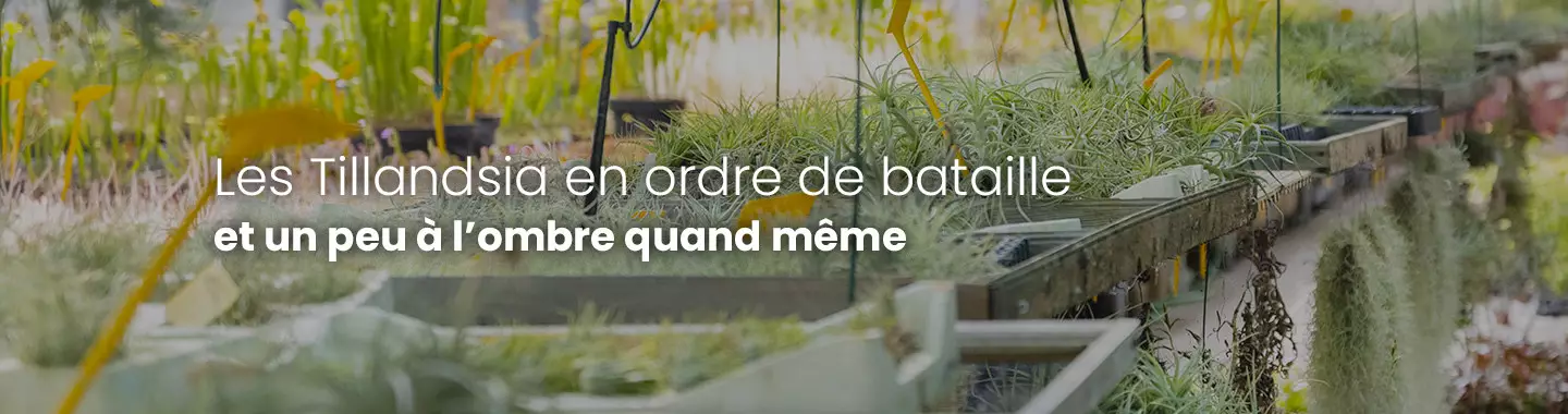 un peu à l'ombre quand même...