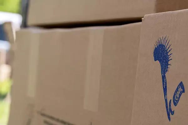 Packaging plants at Karnivores